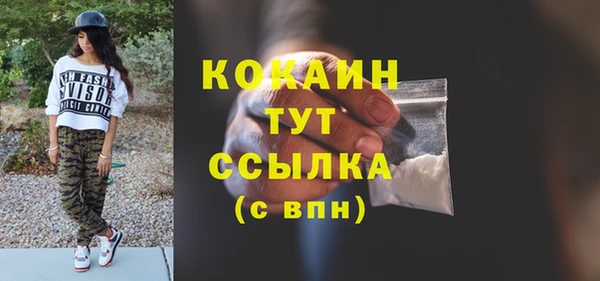 соль ск Рославль