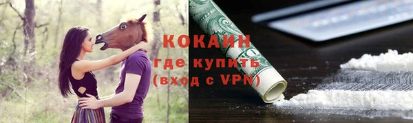 a pvp Абаза