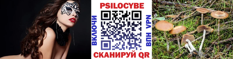 купить наркоту  Болгар  omg ссылка  Галлюциногенные грибы Cubensis 